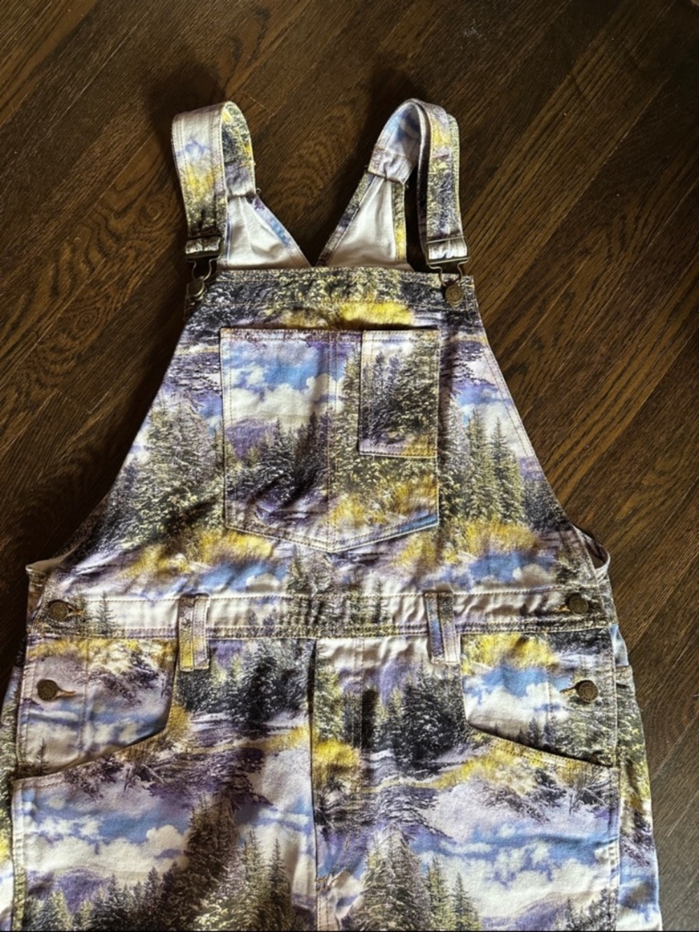 BDG Scenic Print Overalls in Blue, Yellow, Green - Picture 2 of 5
